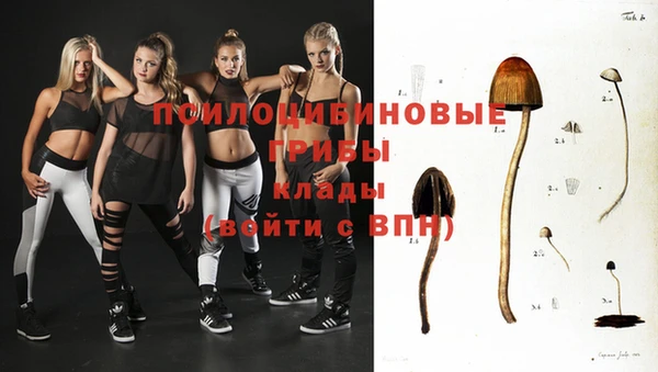 марки nbome Арсеньев